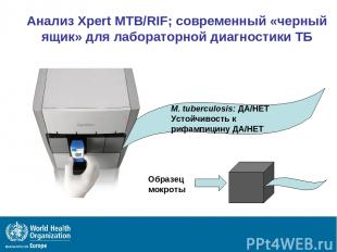Анализ Xpert MTB/RIF; современный «черный ящик» для лабораторной диагностики ТБ