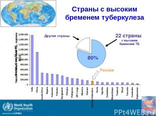 Россия Страны с высоким бременем туберкулеза Global TB Control, 2010, WHO