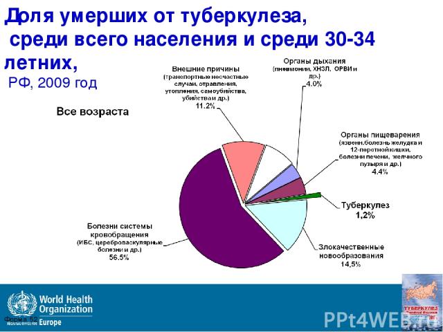 Доля умерших от туберкулеза, среди всего населения и среди 30-34 летних, РФ, 2009 год Форма 52