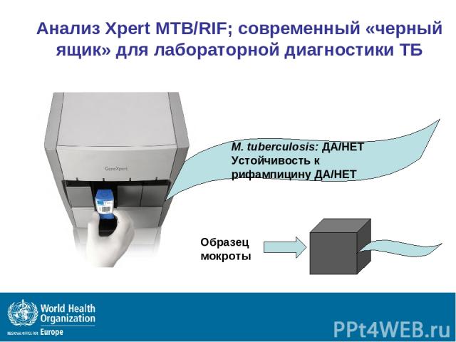 Анализ Xpert MTB/RIF; современный «черный ящик» для лабораторной диагностики ТБ Образец мокроты M. tuberculosis: ДА/НЕТ Устойчивость к рифампицину ДА/НЕТ