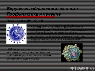 Чума 21 века: ВИЧ/СПИД Вирусные заболевания человека. Профилактика и лечение СПИ