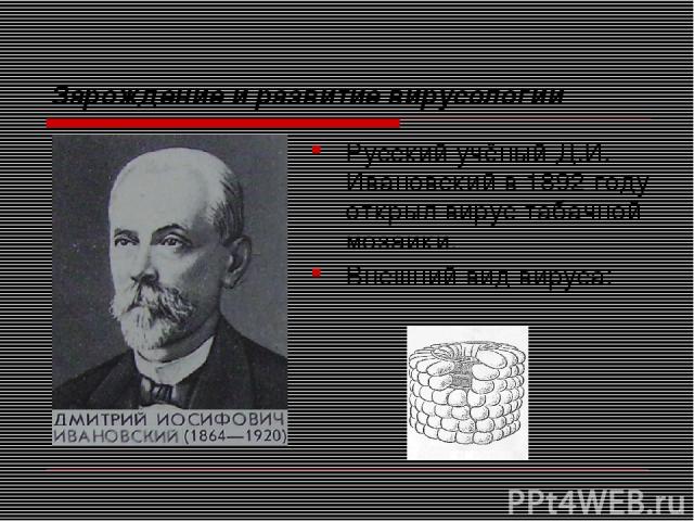 Зарождение и развитие вирусологии Русский учёный Д.И. Ивановский в 1892 году открыл вирус табачной мозаики. Внешний вид вируса: