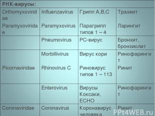 РНК-вирусы: Orthomyxoviridae Influenzavirus Грипп А,В,С Трахеит Paramyxoviridae