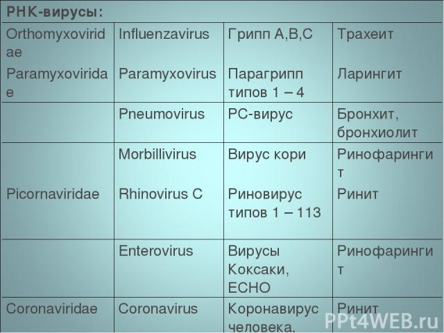 РНК-вирусы: Orthomyxoviridae Influenzavirus Грипп А,В,С Трахеит Paramyxoviridae Paramyxovirus Парагрипп типов 1 – 4 Ларингит   Pneumovirus РС-вирус Бронхит, бронхиолит   Morbillivirus Вирус кори Ринофарингит Picornaviridae Rhinovirus C Риновирус тип…