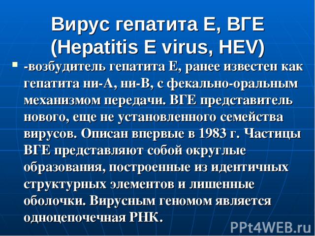 Вирус гепатита Е, ВГЕ (Hepatitis E virus, HEV) -возбудитель гепатита Е, ранее известен как гепатита ни-А, ни-В, с фекально-оральным механизмом передачи. ВГЕ представитель нового, еще не установленного семейства вирусов. Описан впервые в 1983 г. Част…
