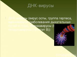 ДНК-вирусы ДНК-вирусы (вирус оспы, группа герпеса, аденовирусы (заболевания дыха