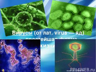 Вирусы (от лат. virus — яд) — простейшая форма жизни.