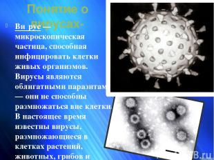 Понятие о вирусах- Ви рус — микроскопическая частица, способная инфицировать кле