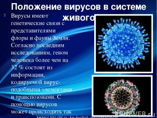 Положение вирусов в системе живого Вирусы имеют генетические связи с представите