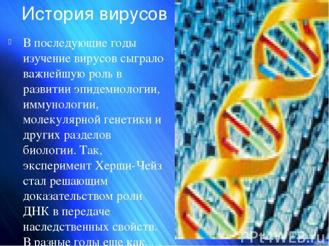 История вирусов В последующие годы изучение вирусов сыграло важнейшую роль в развитии эпидемиологии, иммунологии, молекулярной генетики и других разделов биологии. Так, эксперимент Херши-Чейз стал решающим доказательством роли ДНК в передаче наследс…
