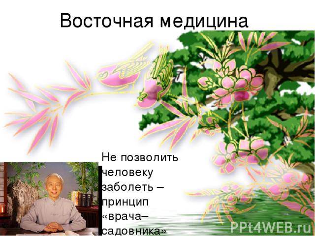 Восточная медицина Не позволить человеку заболеть – принцип «врача–садовника»