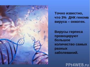 Точно известно, что 3% ДНК генома вируса – онкоген. Вирусы герпеса провоцируют б
