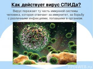 Как действует вирус СПИДа? Вирус поражает ту часть иммунной системы человека, ко