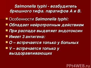 Salmonella typhi - возбудитель брюшного тифа. паратифов А и В. Особенности Salmo