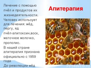 Апитерапия Лечение с помощью пчёл и продуктов их жизнедеятельности. Человек испо