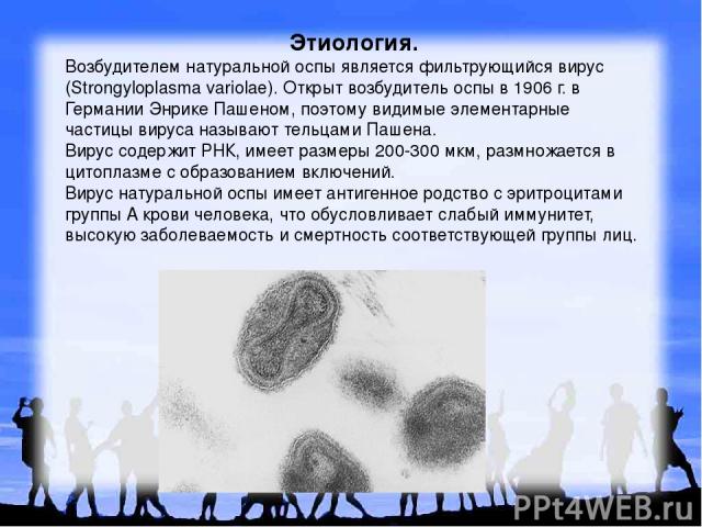 Этиология. Возбудителем натуральной оспы является фильтрующийся вирус (Strongyloplasma variolae). Открыт возбудитель оспы в 1906 г. в Германии Энрике Пашеном, поэтому видимые элементарные частицы вируса называют тельцами Пашена. Вирус содержит РНК, …