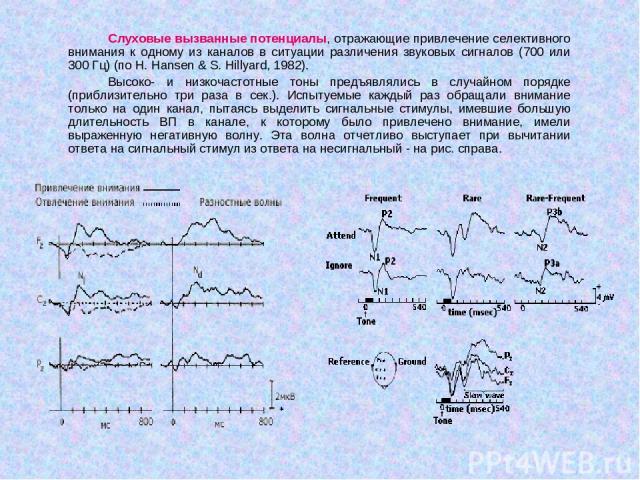 Слуховые вызванные потенциалы, отражающие привлечение селективного внимания к одному из каналов в ситуации различения звуковых сигналов (700 или 300 Гц) (по H. Hansen & S. Hillyard, 1982). Высоко- и низкочастотные тоны предъявлялись в случайном поря…