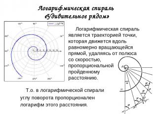 Логарифмическая спираль «Удивительное рядом» Логарифмическая спираль является тр