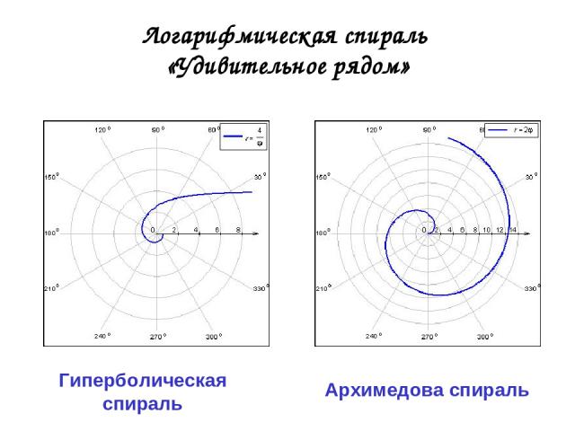 Логарифмическая спираль «Удивительное рядом» Архимедова спираль Гиперболическая спираль