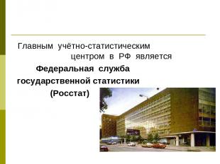 Главным учётно-статистическим центром в РФ является Федеральная служба государст