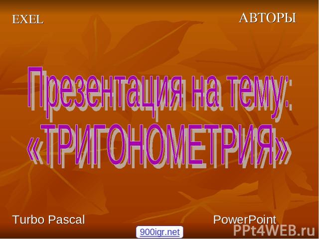 АВТОРЫ EXEL Turbo Pascal PowerPoint 900igr.net
