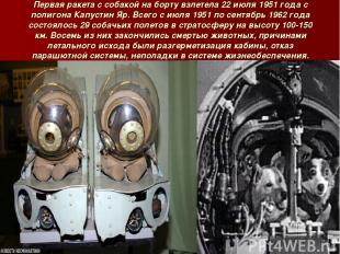 Первая ракета с собакой на борту взлетела 22 июля 1951 года с полигона Капустин