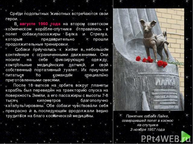 Памятник собаке Лайке, совершившей полет в космос на спутнике 3 ноября 1957 года Среди подопытных животных встречаются свои герои. В августе 1960 года на втором советском космическом корабле-спутнике отправились в полет собаки-пассажиры Белка и Стре…