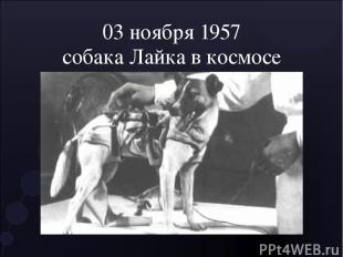 03 ноября 1957 собака Лайка в космосе