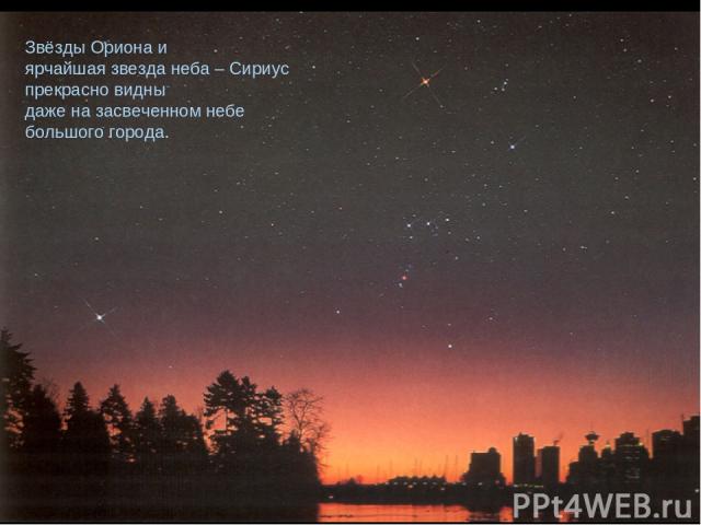 Звёзды Ориона и ярчайшая звезда неба – Сириус прекрасно видны даже на засвеченном небе большого города.