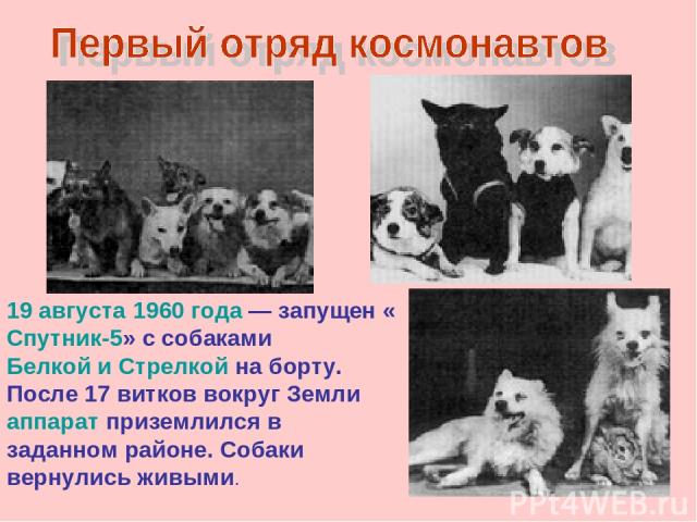 19 августа 1960 года — запущен «Спутник-5» с собаками Белкой и Стрелкой на борту. После 17 витков вокруг Земли аппарат приземлился в заданном районе. Собаки вернулись живыми.