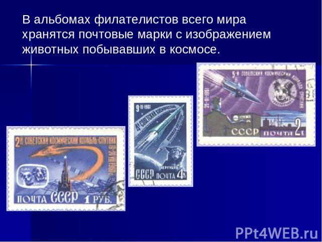 В альбомах филателистов всего мира хранятся почтовые марки с изображением животных побывавших в космосе.