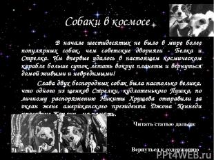 Собаки в космосе В начале шестидесятых не было в мире более популярных собак, че