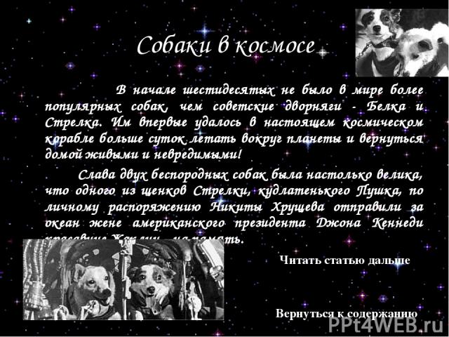 Собаки в космосе В начале шестидесятых не было в мире более популярных собак, чем советские дворняги - Белка и Стрелка. Им впервые удалось в настоящем космическом корабле больше суток летать вокруг планеты и вернуться домой живыми и невредимыми! Сла…