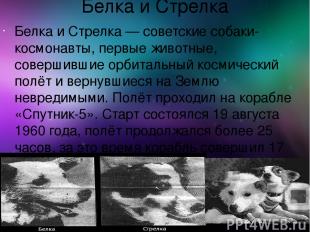 Белка и Стрелка Белка и Стрелка — советские собаки-космонавты, первые животные,