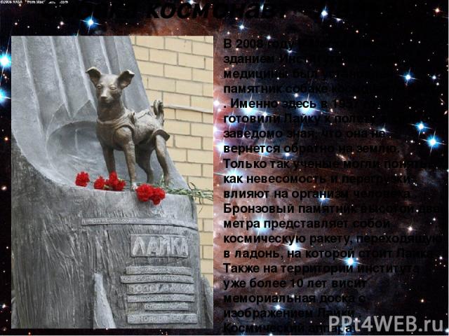 Собака космонавт Лайка. В 2008 году в Москве перед зданием Института военной медицины был установлен памятник собаке космонавту лайке . Именно здесь в 1957 году готовили Лайку к полету в космос, заведомо зная, что она не вернется обратно на землю. Т…