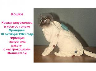 Кошки Кошки запускались в космос только Францией. 18 октября 1963 года Франция з