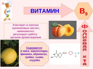 ВИТАМИН B9 Участвует в синтезе нуклеиновых кислот, аминокислот, регулирует работ