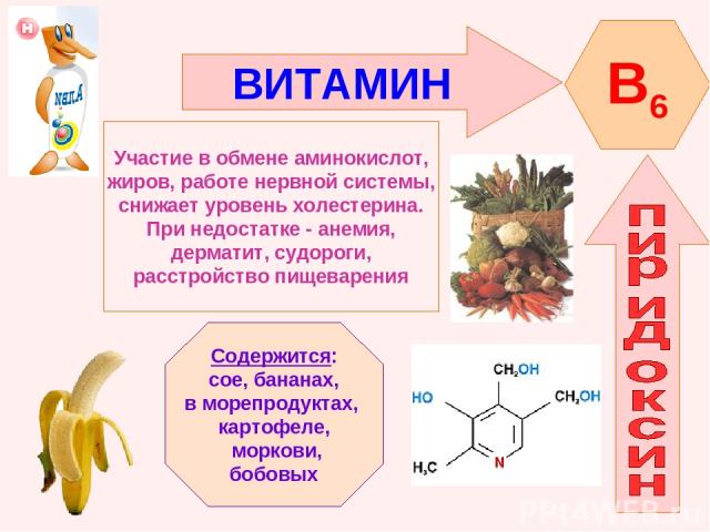 ВИТАМИН B6 Участие в обмене аминокислот, жиров, работе нервной системы, снижает уровень холестерина. При недостатке - анемия, дерматит, судороги, расстройство пищеварения Содержится: сое, бананах, в морепродуктах, картофеле, моркови, бобовых
