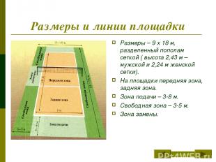 Размеры и линии площадки Размеры – 9 х 18 м, разделенный пополам сеткой ( высота