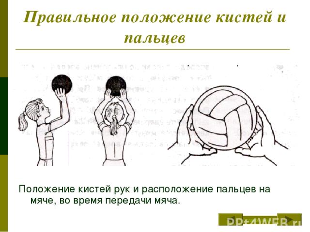 Правильное положение кистей и пальцев Положение кистей рук и расположение пальцев на мяче, во время передачи мяча. содержание