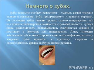 Зубы покрыты особым веществом – эмалью, самой твердой тканью в организме. Зубы п