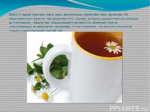 Всего 5 чашек горячего чая в день значительно укрепляют ваш организм. Из обыкнов