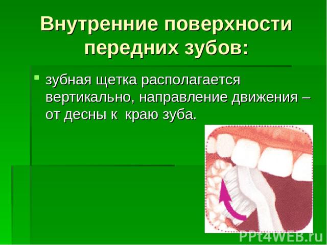 Внутренние поверхности передних зубов: зубная щетка располагается вертикально, направление движения – от десны к краю зуба.