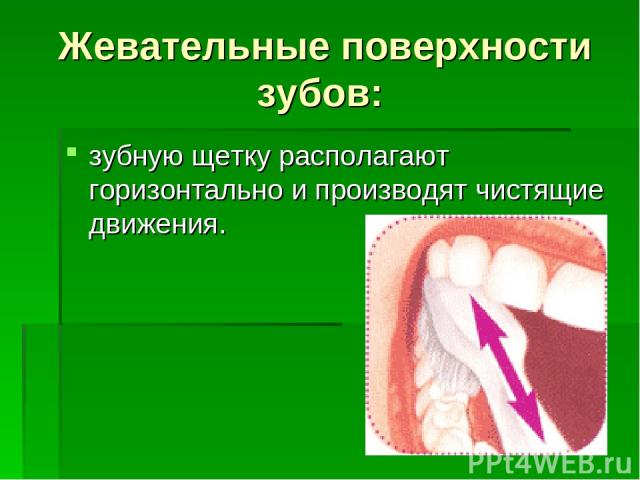 Жевательные поверхности зубов: зубную щетку располагают горизонтально и производят чистящие движения.