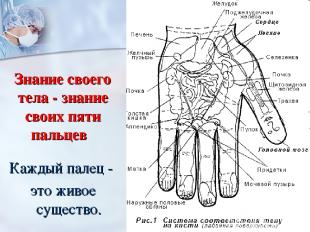 Знание своего тела - знание своих пяти пальцев  Каждый палец - это живое существ