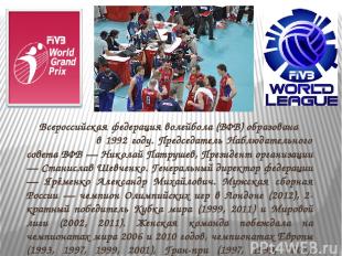 Всероссийская федерация волейбола (ВФВ) образована в 1992 году. Председатель Наб