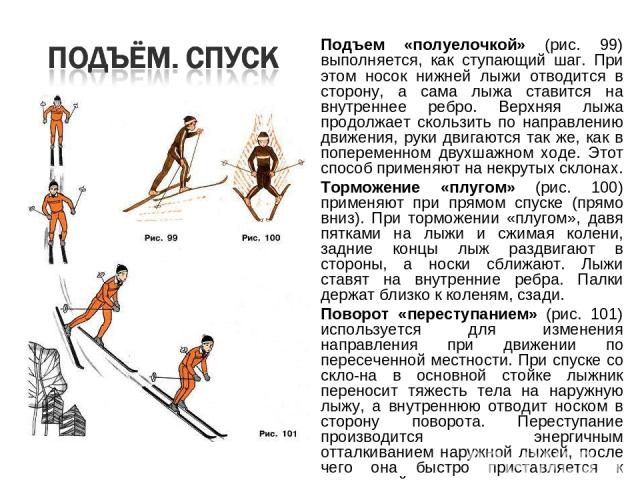 Подъем «полуелочкой» (рис. 99) выполняется, как ступающий шаг. При этом носок нижней лыжи отводится в сторону, а сама лыжа ставится на внутреннее ребро. Верхняя лыжа продолжает скользить по направлению движения, руки двигаются так же, как в попереме…