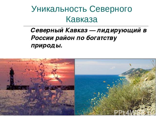 Уникальность Северного Кавказа Северный Кавказ — лидирующий в России район по богатству природы.