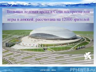 Большая ледовая арена в Сочи построена для игры в хоккей, рассчитана на 12000 зр