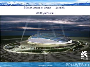 Малая ледовая арена — хоккей, 7000 зрителей. «СОЧИ 2006 – 2014»